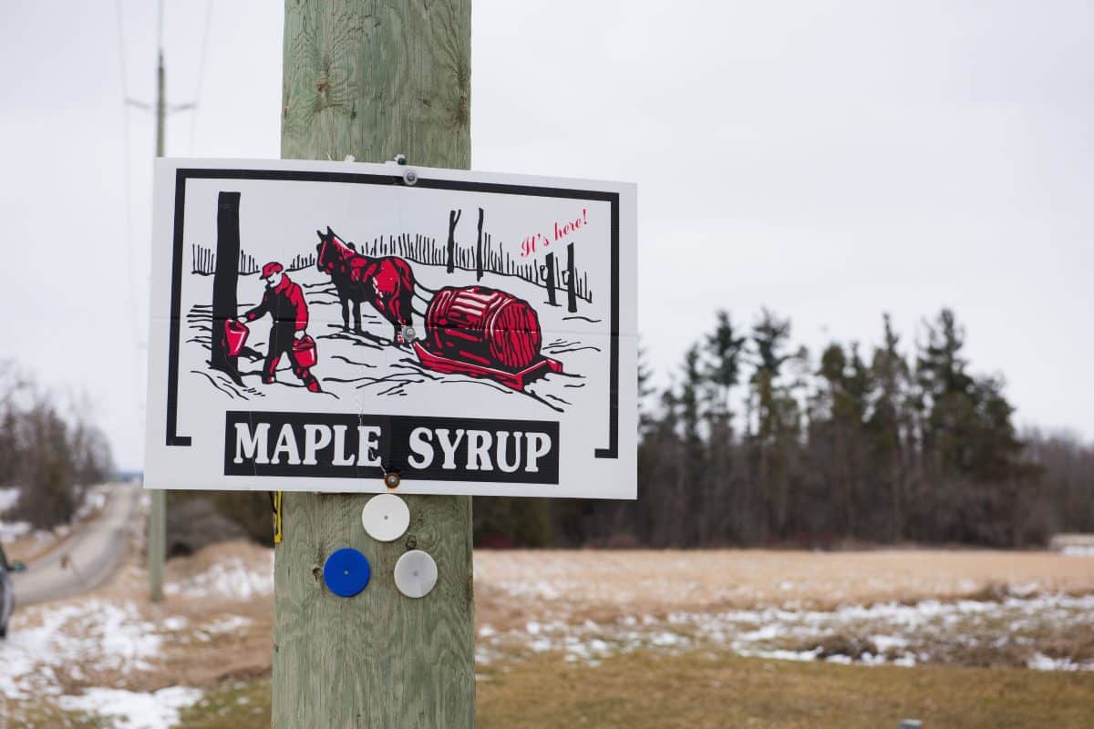 Local Maple Syrup - Elmira Maple Syrup Festival