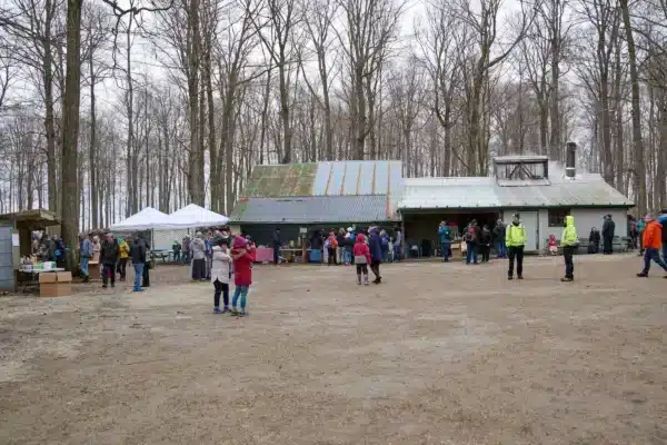 2023 Festival - Image 290 - Elmira Maple Syrup Festival