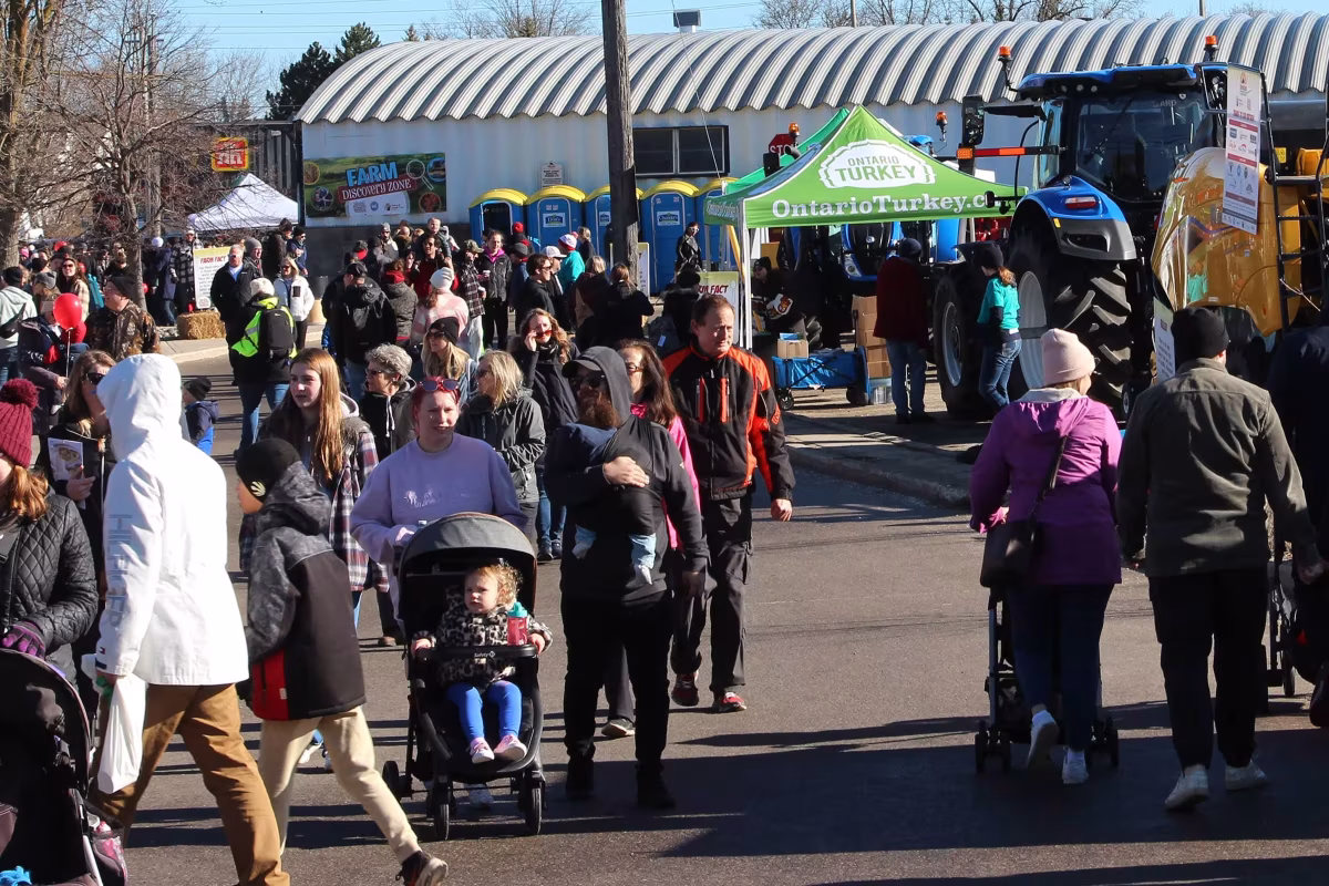 2024 Family Fun Area - Image 203 - 2024 Elmira Maple Syrup Festival