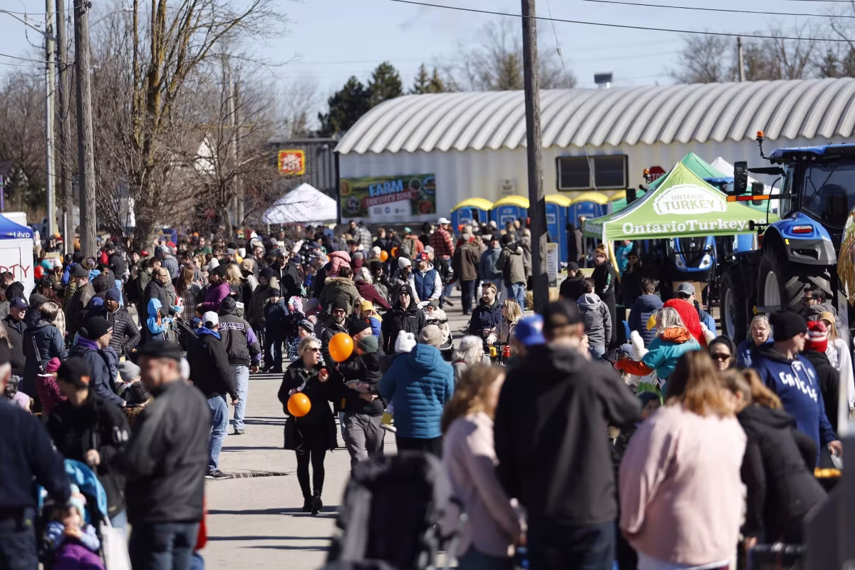2024 Family Fun Area - Image 43 - 2024 Elmira Maple Syrup Festival